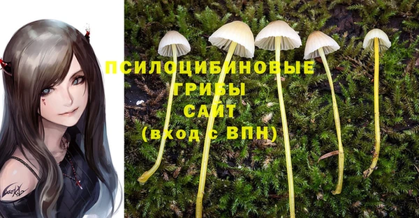 мет Струнино