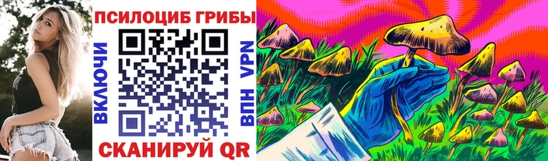 Псилоцибиновые грибы GOLDEN TEACHER  Отрадная 