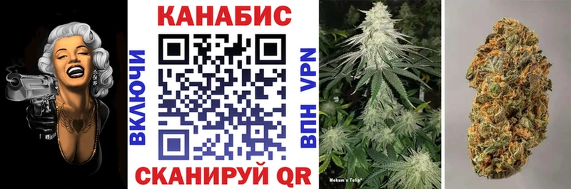 Канабис конопля  Отрадная 